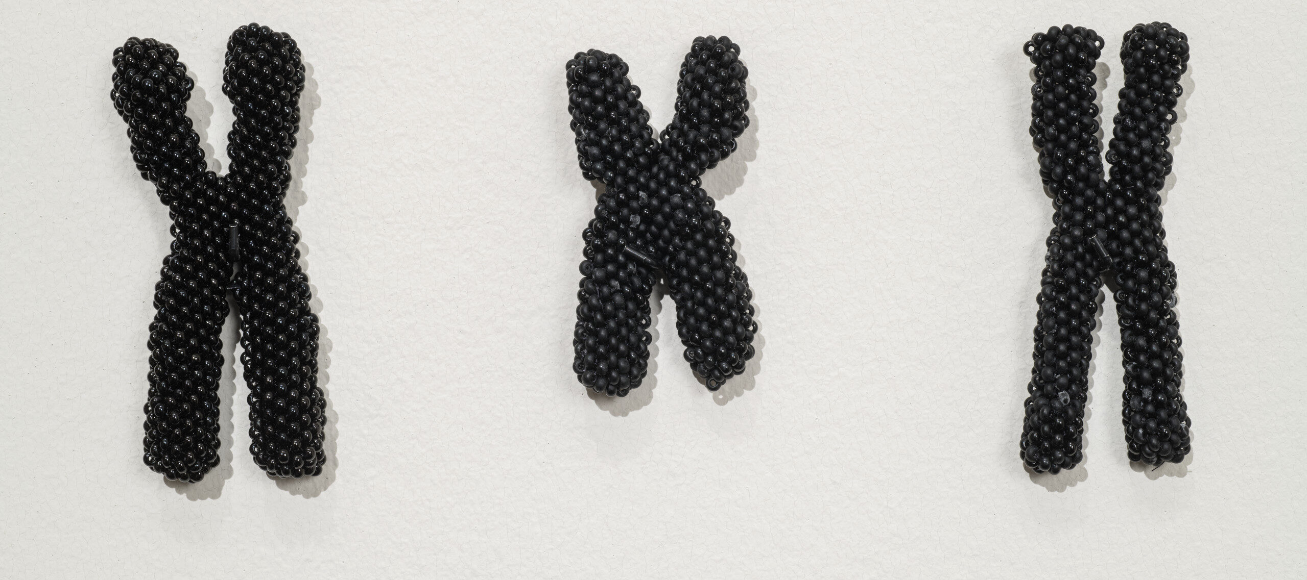Three X-shaped chromosome pairs created with tiny black beads and arranged in a spaced-out row against a white background.