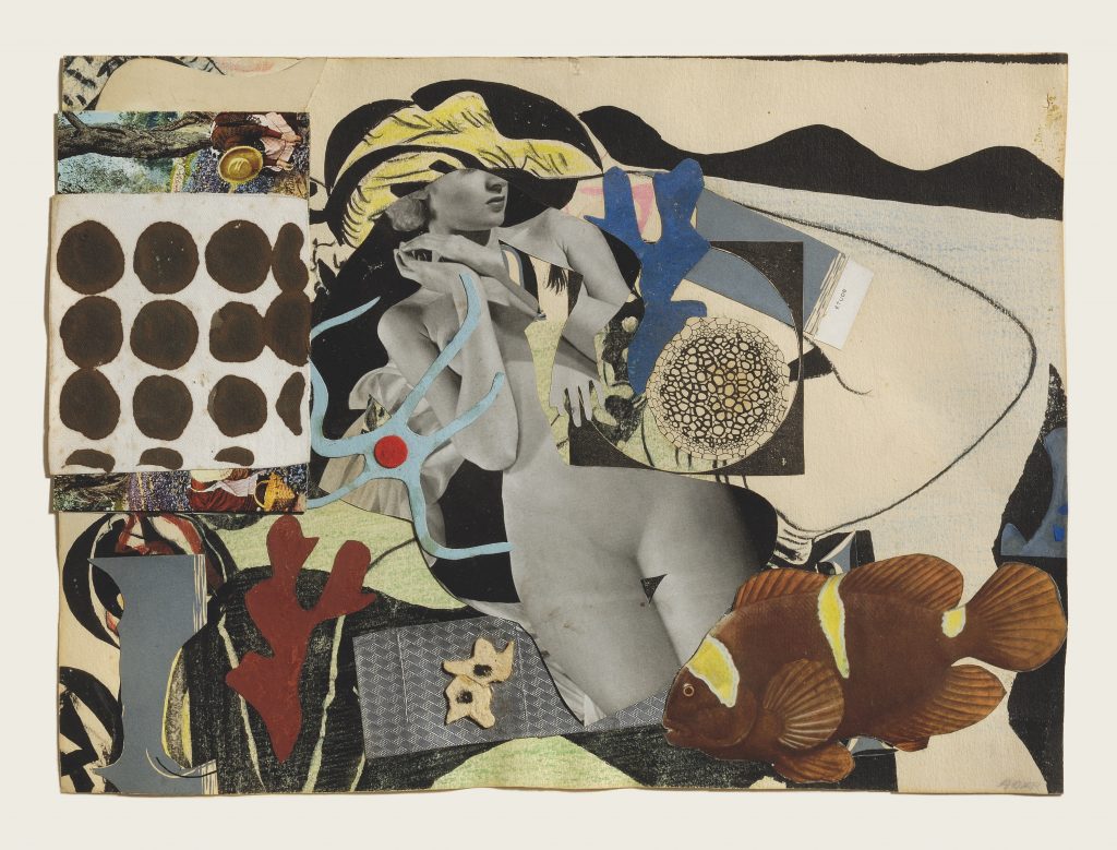 A collage of various images including a tropical fish, a naked woman statue, and other abstract forms and shapes.