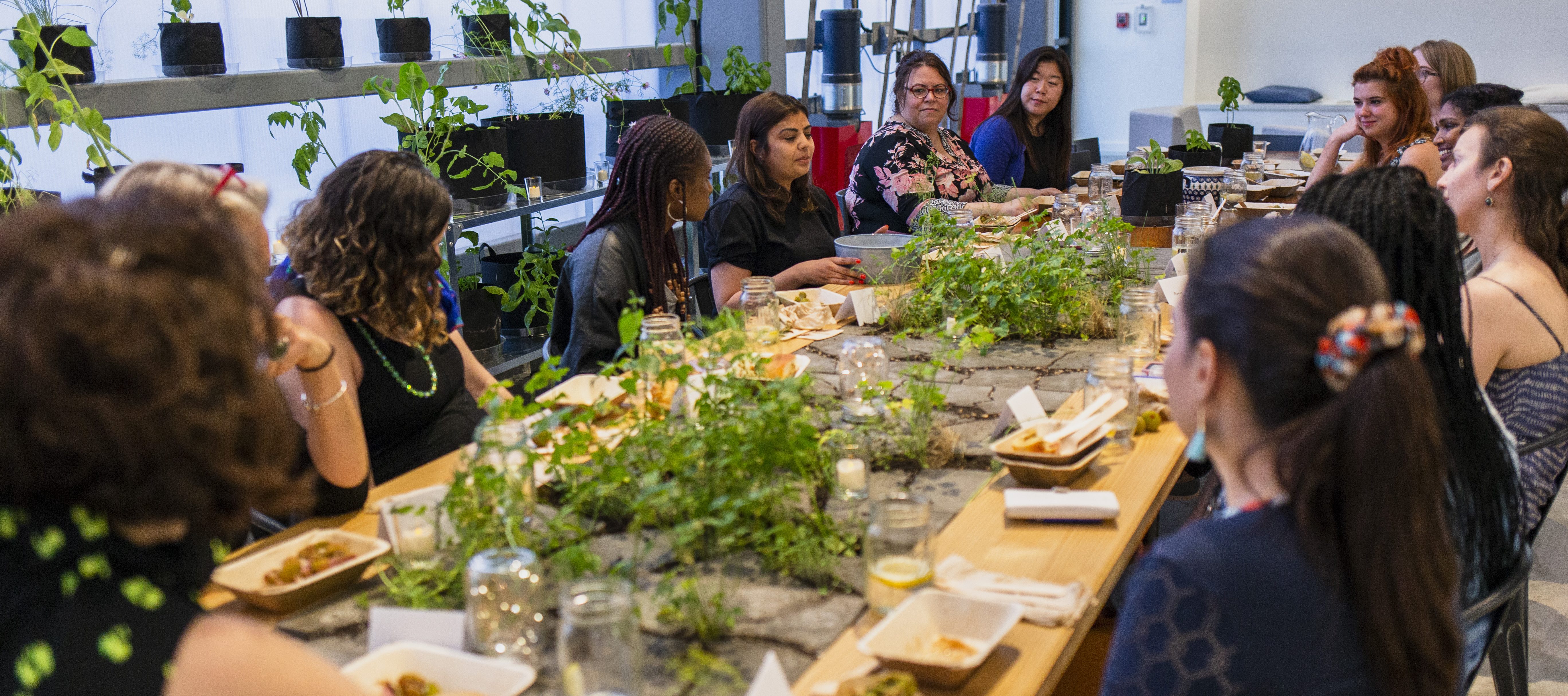A diverse group of women sit around a long wooden table set with food and a long centerpiece of green, leafy plants sprouting out of gray rocks. Behind them are shelves of green plants growing near a wall of windows, and a white wall.