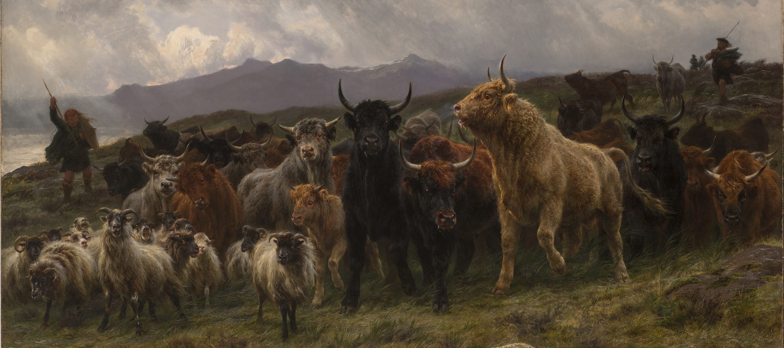 A large group of animals is herded by two shepherds on a grassy hill above the ocean. Black, tan, and red bulls crowd small white sheep with curled horns. The animals move nervously, their coats blowing in the wind. Clouds in the background suggest an impending storm.