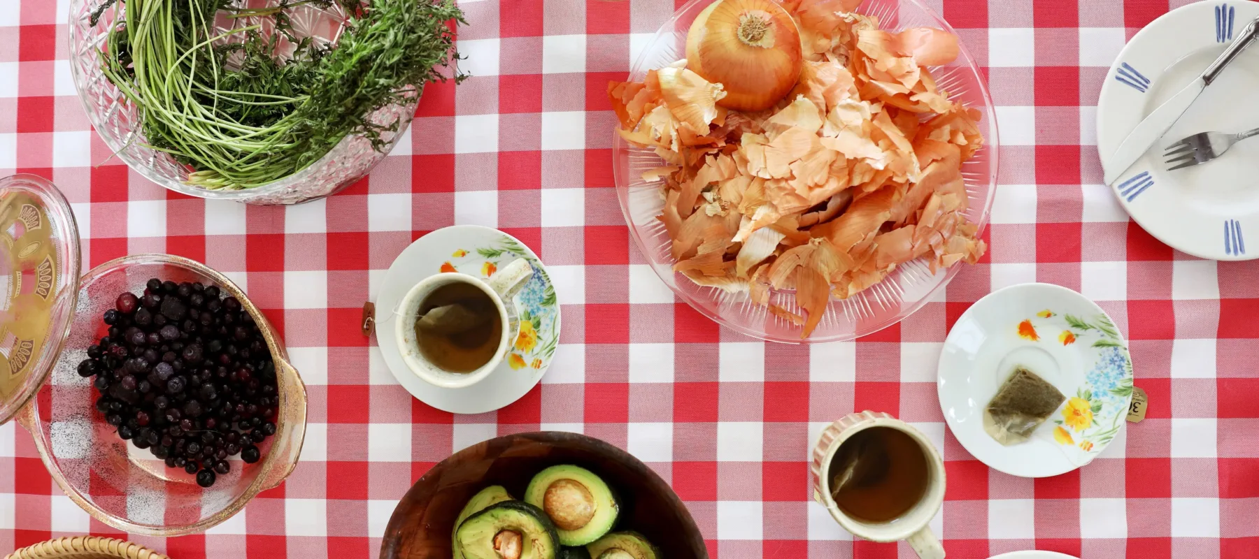 Circular glass, wood, and ceramic plates and bowls arranged on a red and white checkered tablecloth, seen from above. The plates and bowls are filled with blueberries, long carrot stems, halved avocados, an onion and onion peels, and a cups of tea and teabags on saucers.