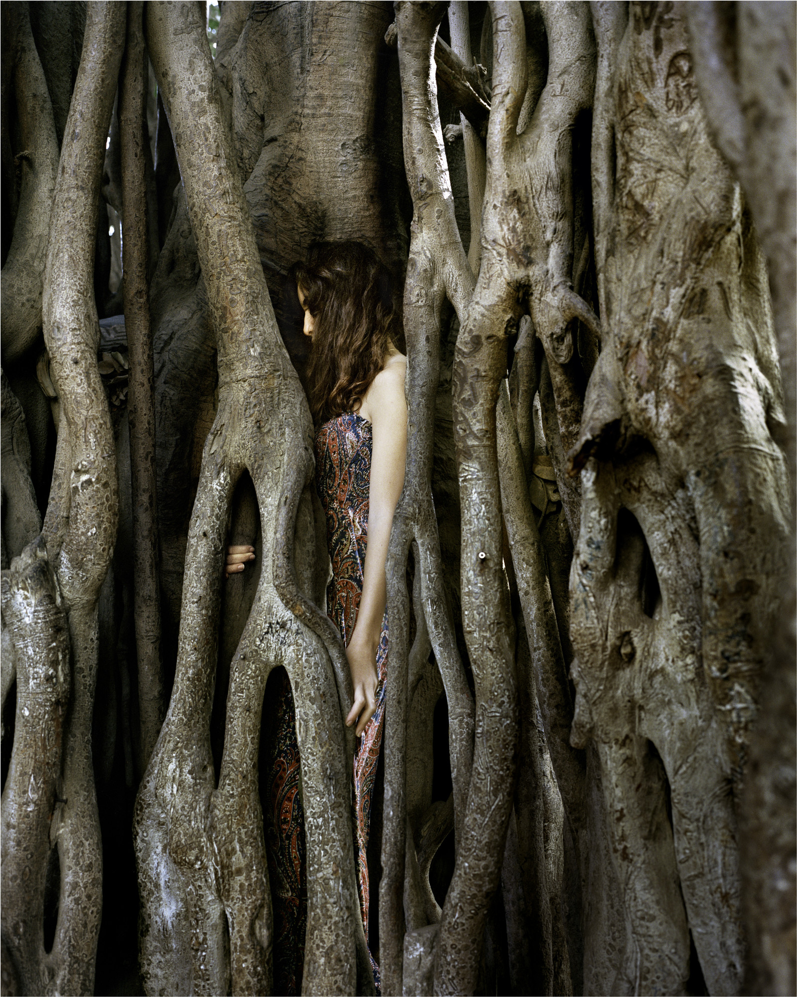 Close cropped color photograph of a light-skinned woman with auburn hair standing tucked into the large roots of a tree. The woman in standing in profile and her head is bent with her hair covering her face.