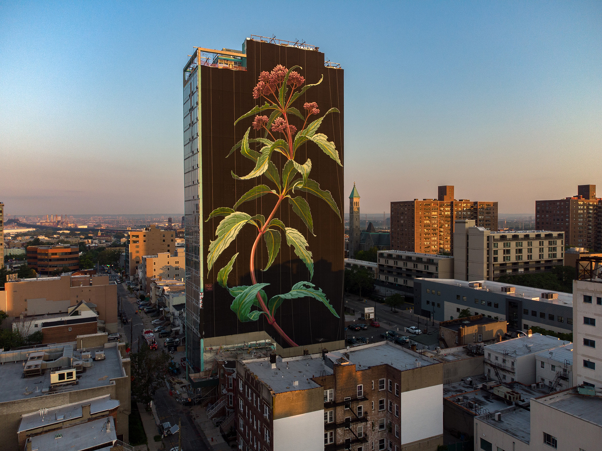 An aerial photograph of a city skyline on a clear day. The sun casts long shadows, suggesting that the photo was taken in the evening. Within the cityscape, one of the central buildings has a blackened facade over which is painted a wildflower with purple blooms, green leaves, and a long stem. The building towers over those that surround it.