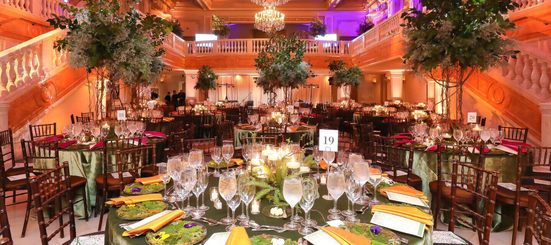 2019 Spring Gala, courtesy of Tony Powell