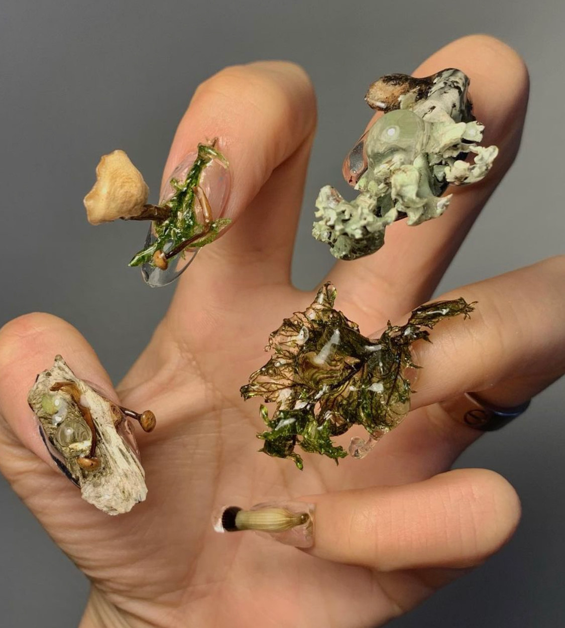 A light-skinned hand is photographed in a claw-like position, so that all five fingernails are fully visible. Each nail is decorated in intricate, 3-D nail art. The abstract designs are organic and earthy, recalling wood, fungi, kelp, or other wetland growth.