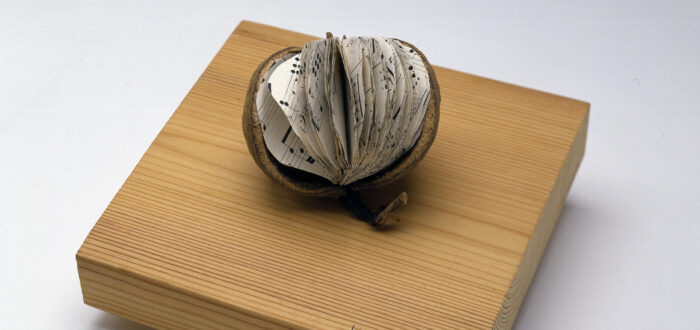 A brown, tropical fruit with a large segment of skin removed to reveal small, round pages of sheet music inside instead of fruit flesh. The book rests on a square woodblock with “libra—seme” printed in the bottom-right corner.