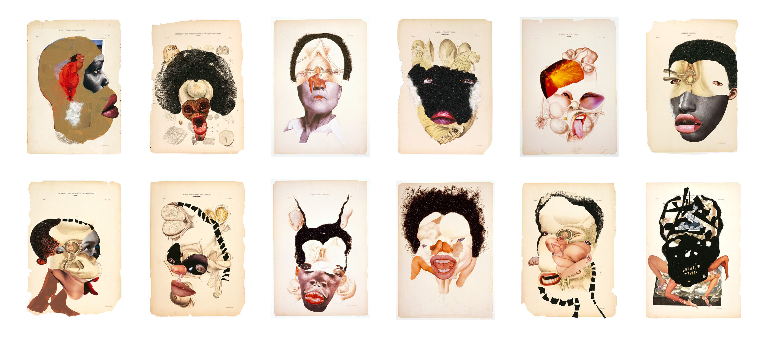 A group of twelve images in a grid shows faces that are collaged together from various separate images showing facial features, internal organs, and ambiguous elements. Most of the faces appear to show women with dark skin tone, and the other images evoke medical illustrations.Any detail must be accompanied by a grid image of all works in series