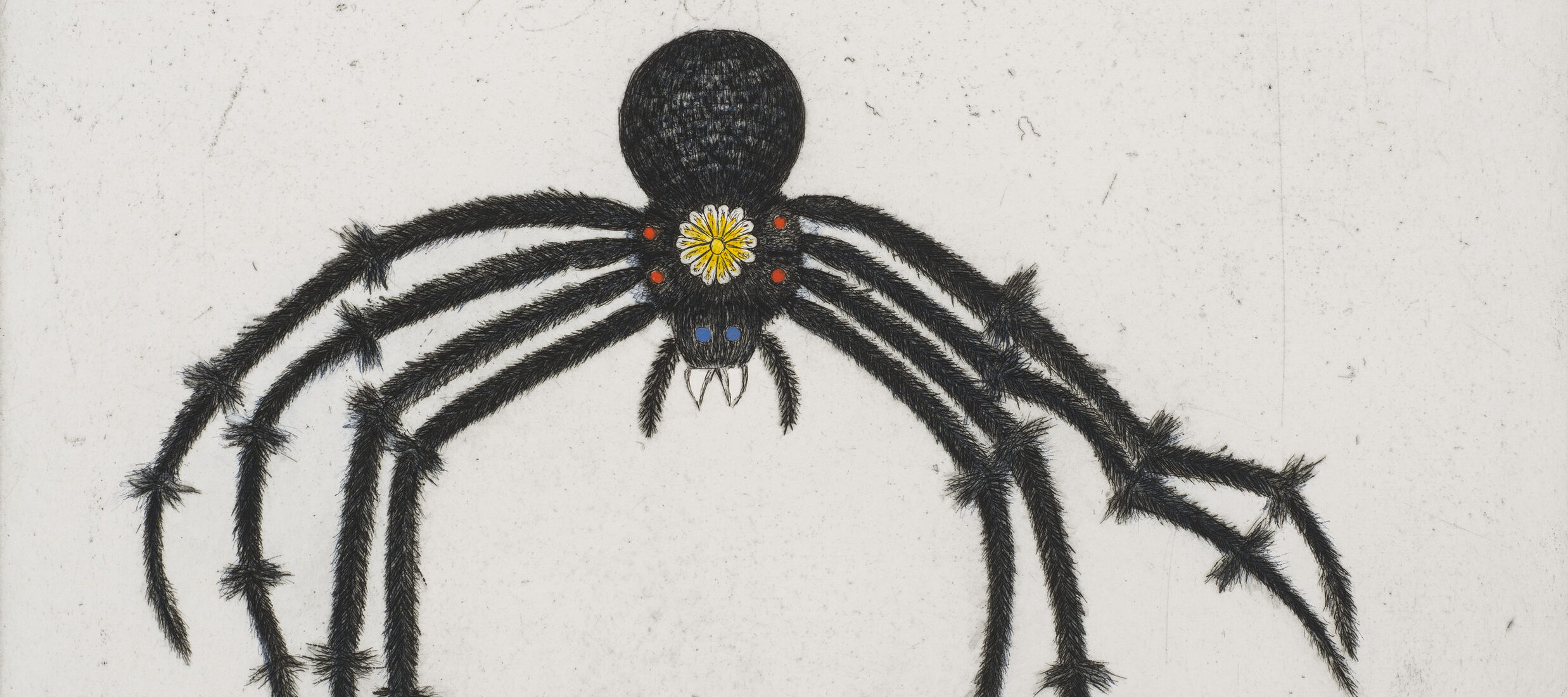 A deep auburn-colored octopus hovers above a larger, black spider with fuzzy legs, fangs, and blue eyes against a white background. There is a small white and yellow flower on the spider’s thorax and two red dots on each side of the flower.