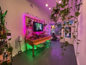 An installation view of a tiny gallery space shows a long wood desk and shelving set up against one wall, holding jars and pots of plant clippings with a flat screen TV mounted to the wall in the center. This space is backlit with purple and green neon lights. The space's front windows are hazy at dusk. A woman sits in a chair at the window reading something.