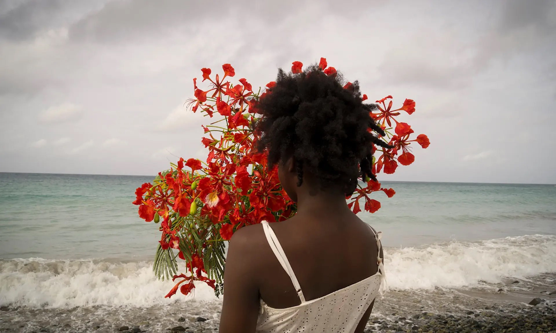 A dark-skinned girl stands with her back to the camera, holding a lush bouquet of delicate red flowers up to her face. She faces a calm ocean, with a small wave breaking at the shore. The sky is overcast.