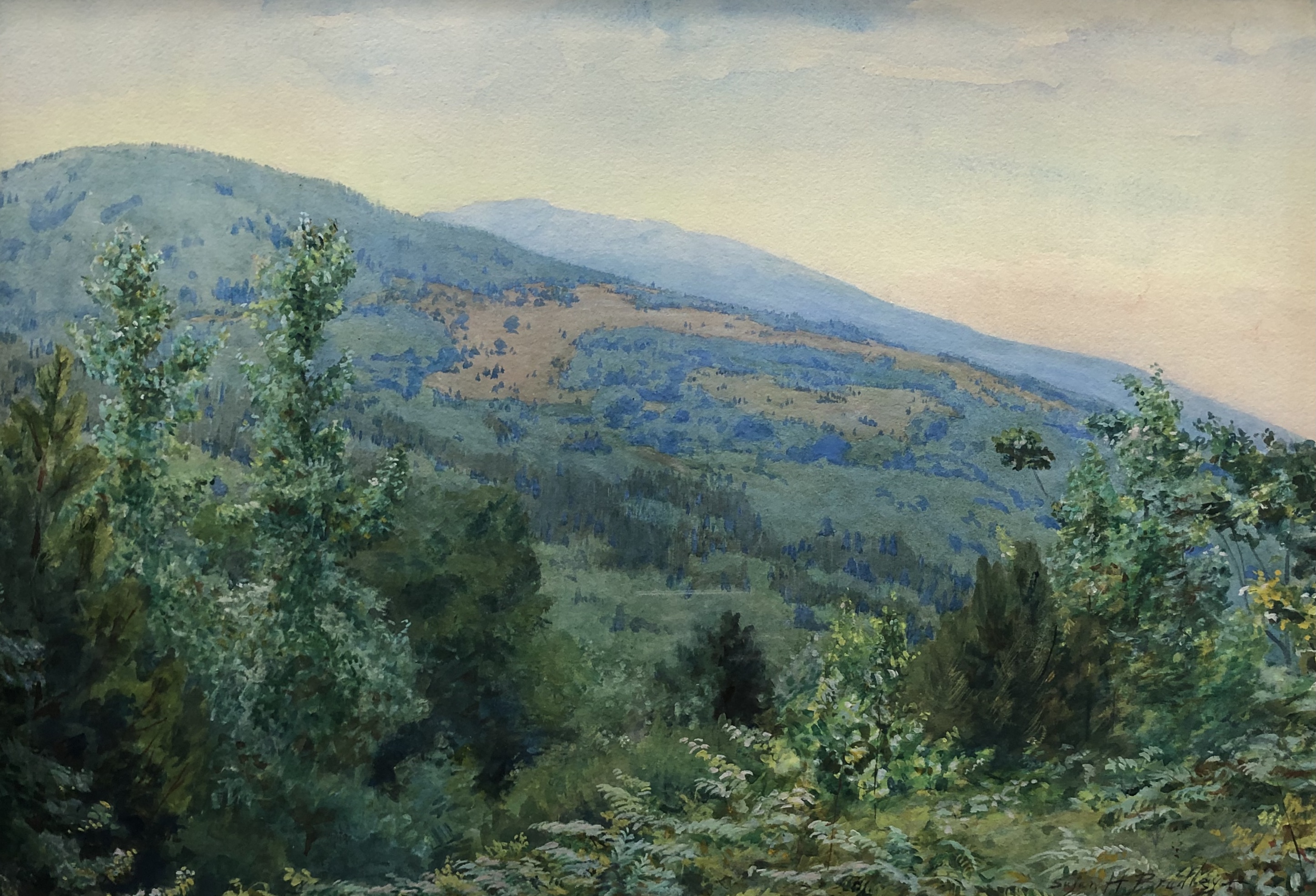 A watercolor painting features a serene landscape with many green trees in the foreground and two slightly sloped mountains in the background against a hazy sky.