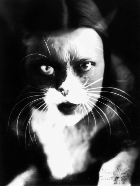 A black-and-white portrait photograph of a woman’s face half merging with a cat’s face. The left side of the woman’s face is human and the right side is that of a cat, with whiskers, cat eyes, and a cat’s nose. The woman stares at the viewer, which intensifies an uncanny feeling.
