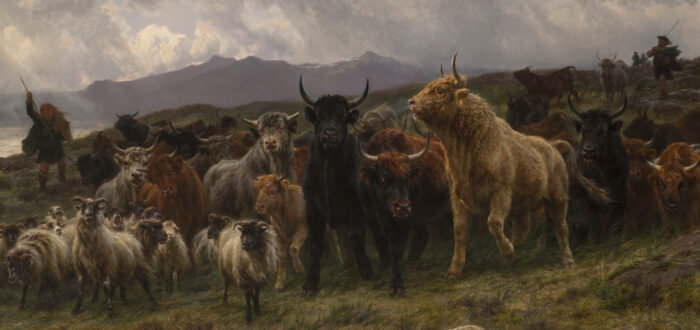 A large group of animals is herded by two shepherds on a grassy hill above the ocean. Black, tan, and red bulls crowd small white sheep with curled horns. The animals move nervously, their coats blowing in the wind. Clouds in the background suggest an impending storm.