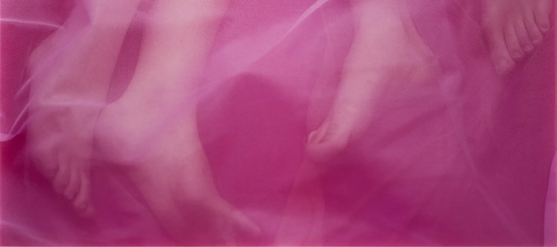 A photograph of two light-skinned figures lying on a bed turned towards each other with their legs touching. A sheet of gauzy pink tulle is draped over them. All we can see of these two figures are their legs from their knees to their feet.