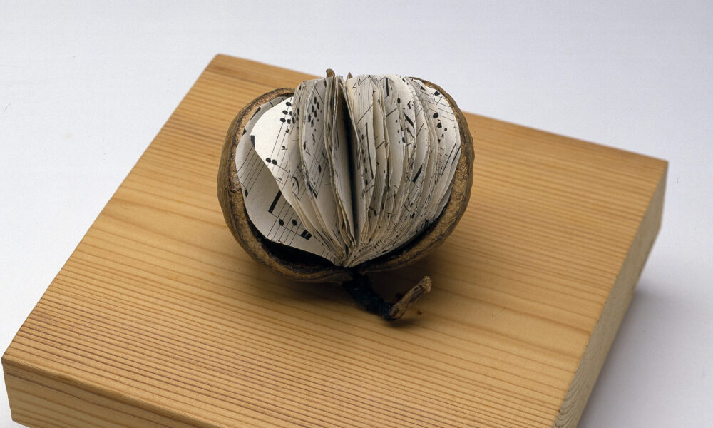 A brown, tropical fruit with a large segment of skin removed to reveal small, round pages of sheet music inside instead of fruit flesh. The book rests on a square woodblock with “libra—seme” printed in the bottom-right corner.