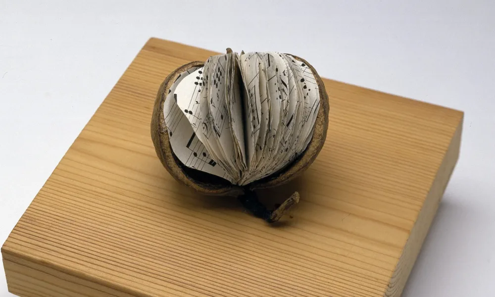 A brown, tropical fruit with a large segment of skin removed to reveal small, round pages of sheet music inside instead of fruit flesh. The book rests on a square woodblock with “libra—seme” printed in the bottom-right corner.