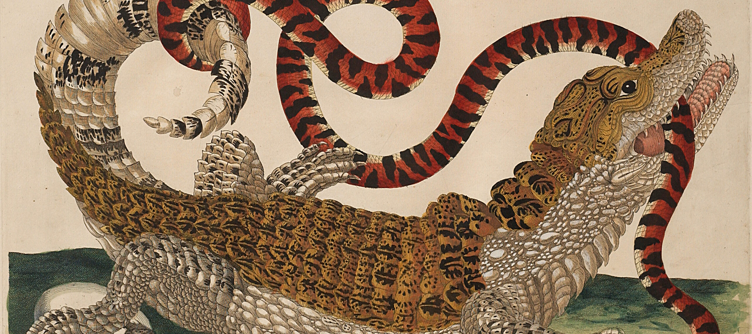 A detailed engraving portrays a large, black and tan lizard with a white belly in precise detail. Facing right and positioned over a green surface and a hatching egg, the reptile bites a long, red and black snake attacking another egg and curling around the lizard's tail.