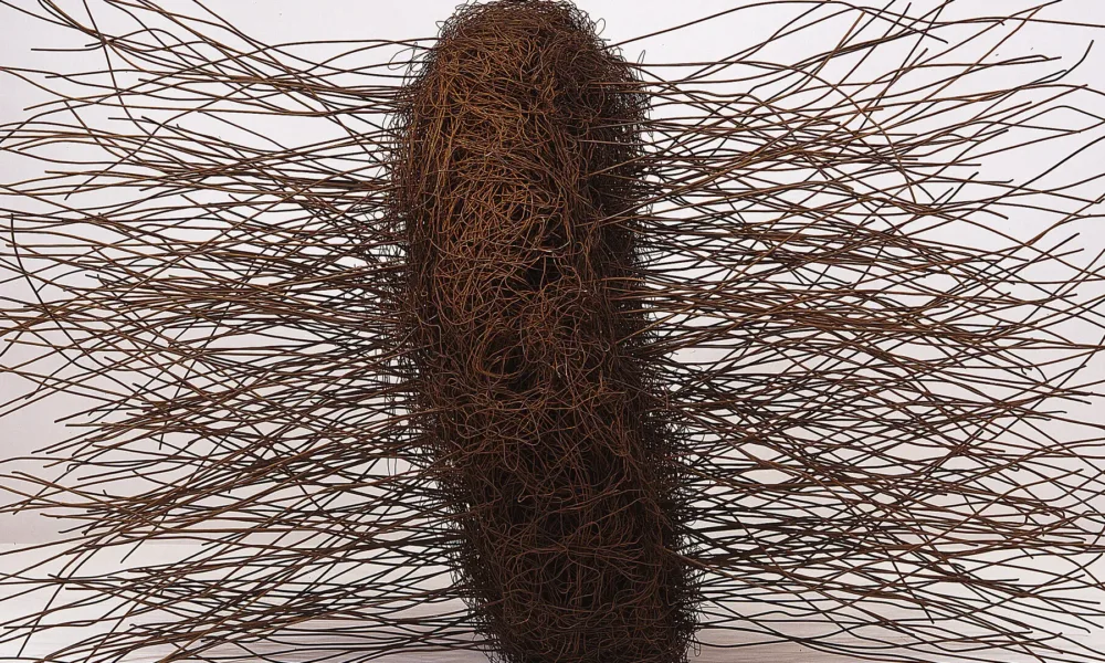 Large, abstract sculpture, fabricated of rusted iron wires, conveys an organic form. At center is a mass of thin, tangled wires shaped into a thick disc, sitting on edge. From either side of the center disc a mass of slightly bent, thicker wires juts straight out.