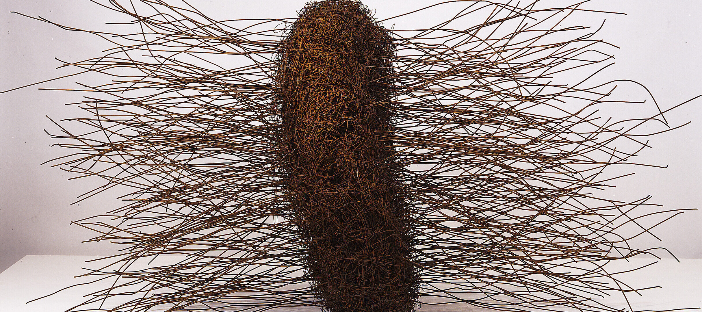 Large, abstract sculpture, fabricated of rusted iron wires, conveys an organic form. At center is a mass of thin, tangled wires shaped into a thick disc, sitting on edge. From either side of the center disc a mass of slightly bent, thicker wires juts straight out.