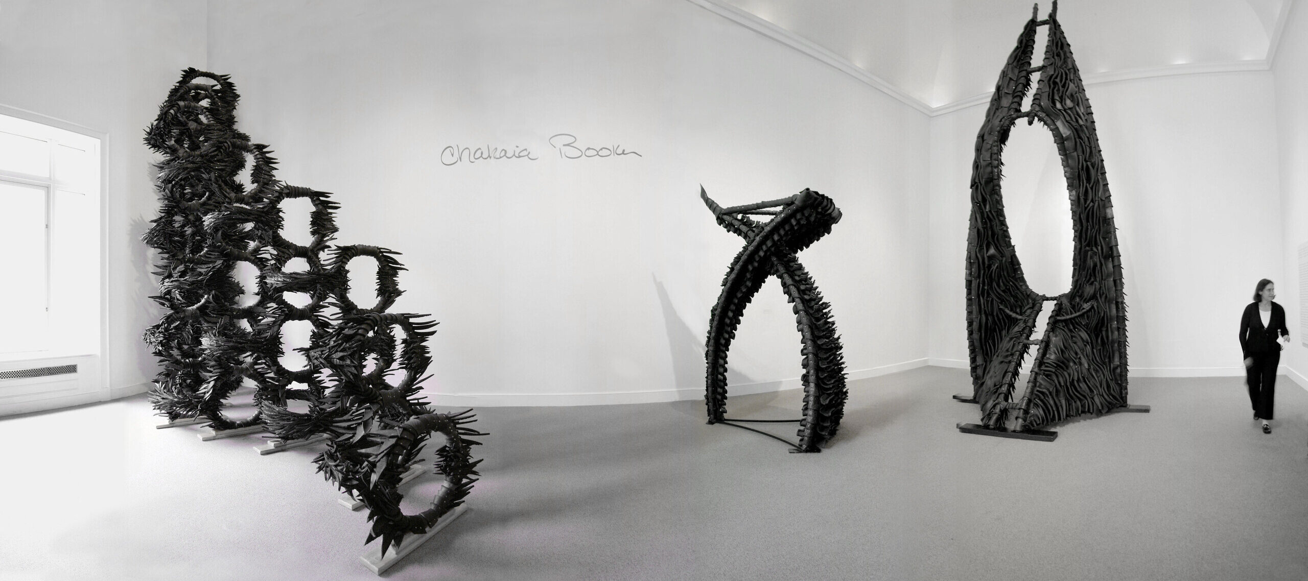 FOREFRONT: Chakaia Booker Installation