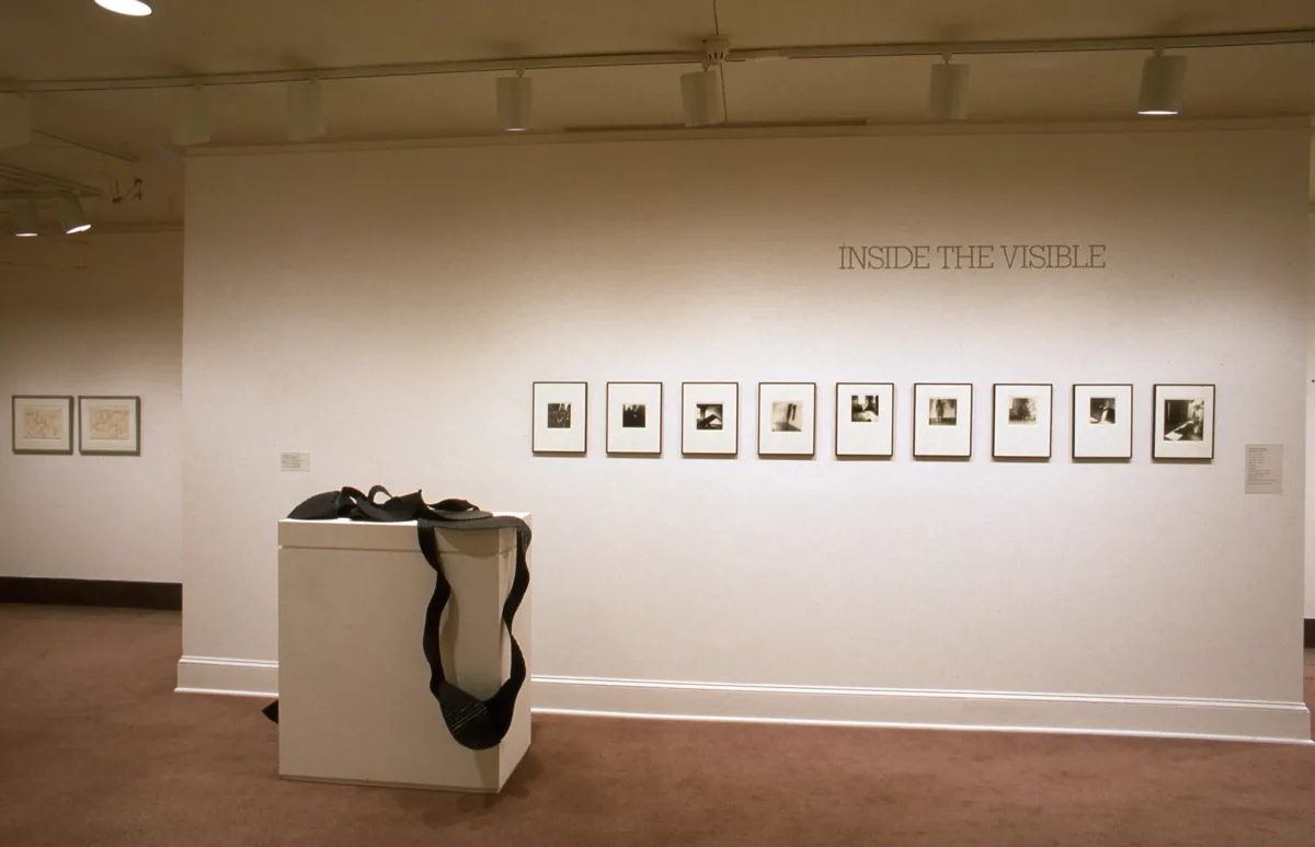 View of a gallery space. Several black-and-white photographs are hanging on a white wall. The wall text reads: "Inside the Visible". In front of the wall, a sculpture is placed on a pedestal.