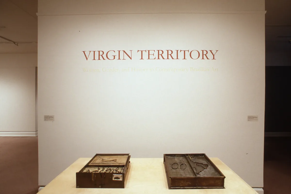 Installation view of an exhibition space. On a white wall, the text reads "Virgin Territory". Underneath the text, there are two objects placed on a pedestal.