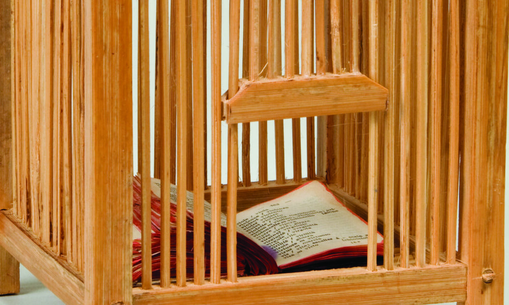 A square cage made out of light-colored wood with a wire handle on top. The opening gate is slid open to reveal a book flipped open within the cage.