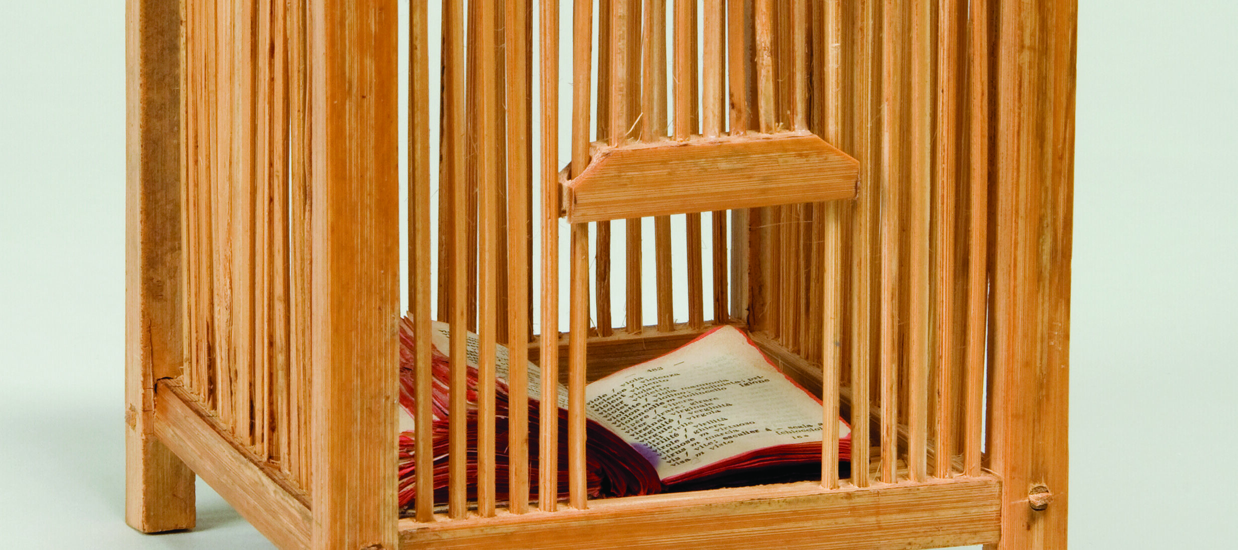 A square cage made out of light-colored wood with a wire handle on top. The opening gate is slid open to reveal a book flipped open within the cage.