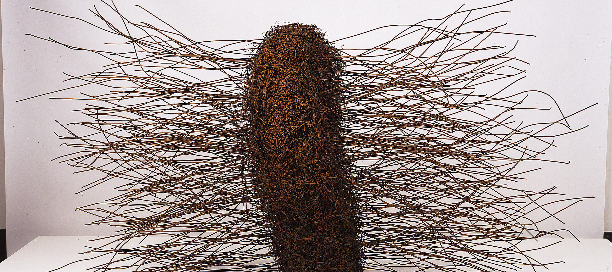 Large, abstract sculpture, fabricated of rusted iron wires, conveys an organic form. At center is a mass of thin, tangled wires shaped into a thick disc, sitting on edge. From either side of the center disc a mass of slightly bent, thicker wires juts straight out.