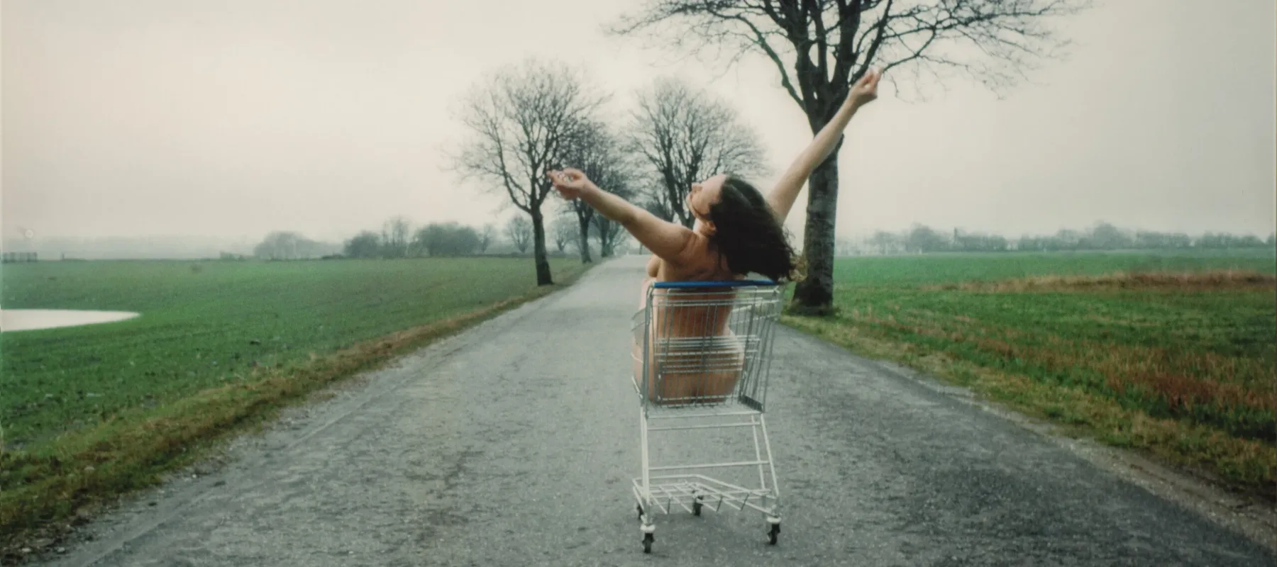 A photograph shows the nude artist sitting in a metal grocery cart. It is located on a paved road in a flat, empty landscape under a gray, misty sky. Her back to the viewer, the light-skinned, brunette woman holds her raised arms in a wide V-shape, suggesting joy or abandon.