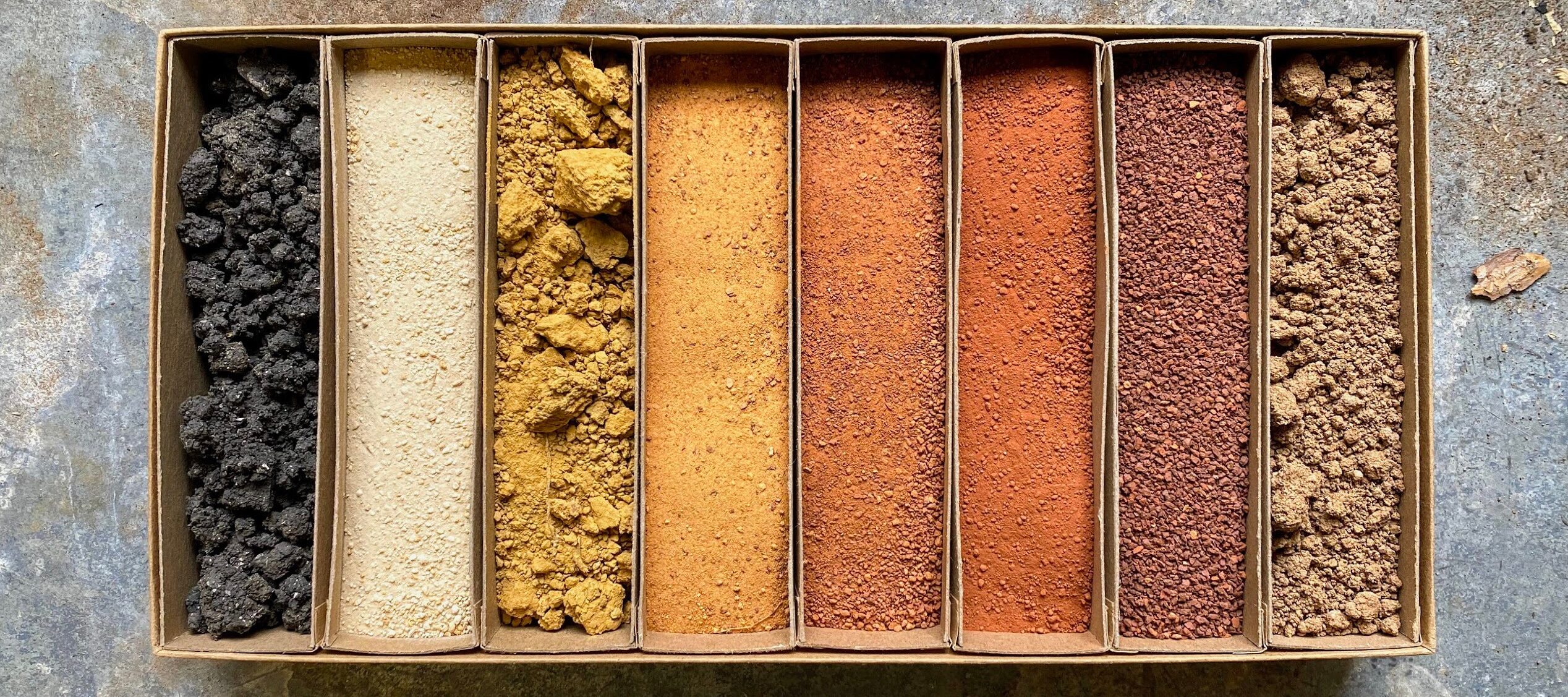 Close-up color photograph of a divided box with eight sections. Each section holds a different earth tone and granularity of soil.