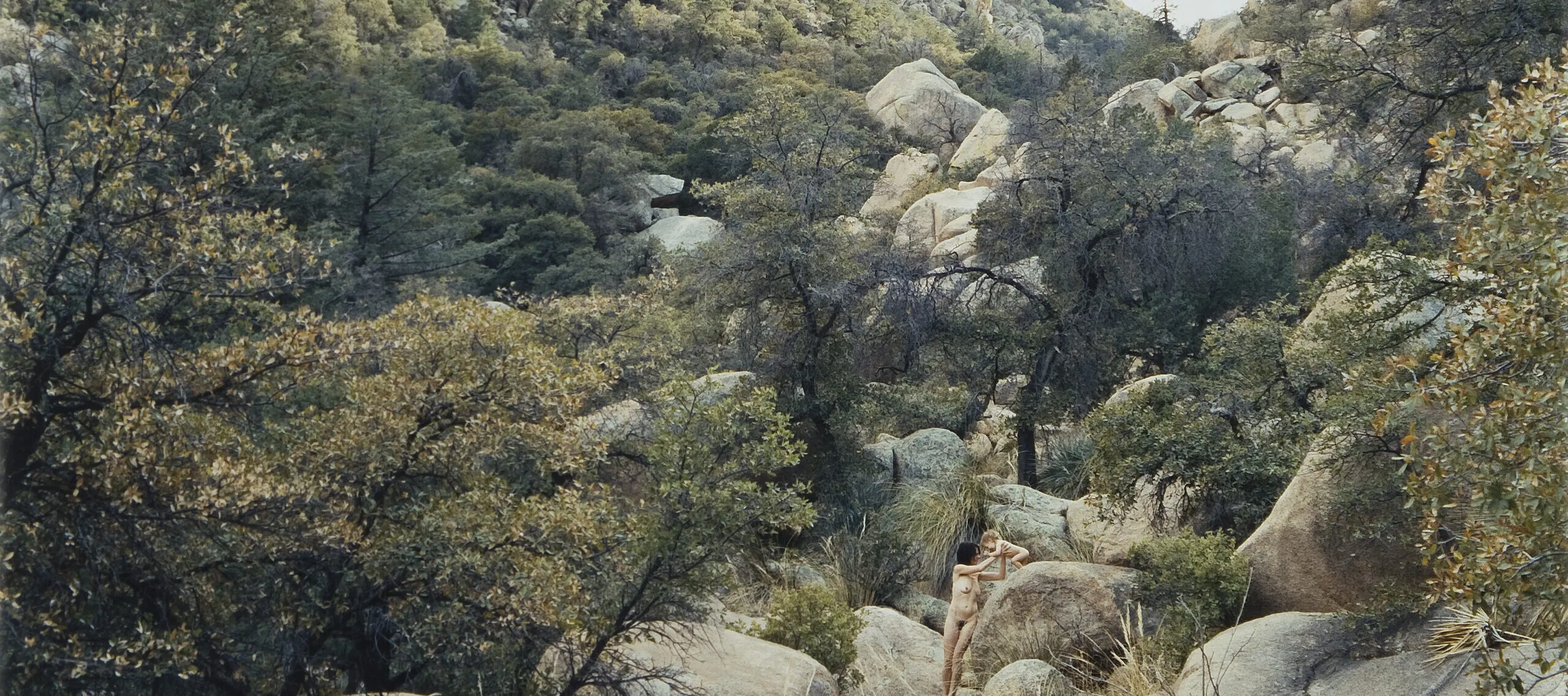 A photograph depicts a mountain covered in green trees and grass. At the foot of the mountain, a young woman is standing holding up her child. The woman and the child are naked and blending into the background of gray and beige rocks.