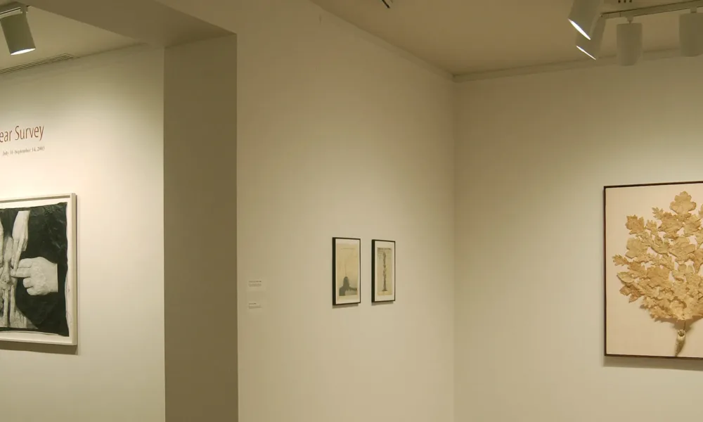 Installation view of a gallery space with white walls. On the wall on the left, it says in big red letters: "Lesley Dill: A Ten Year Survey". Underneath is a black-and-white photograph of a person's head, surrounded by hands that touch their face. On the wall on the right, a large art piece of a tree is hanging.