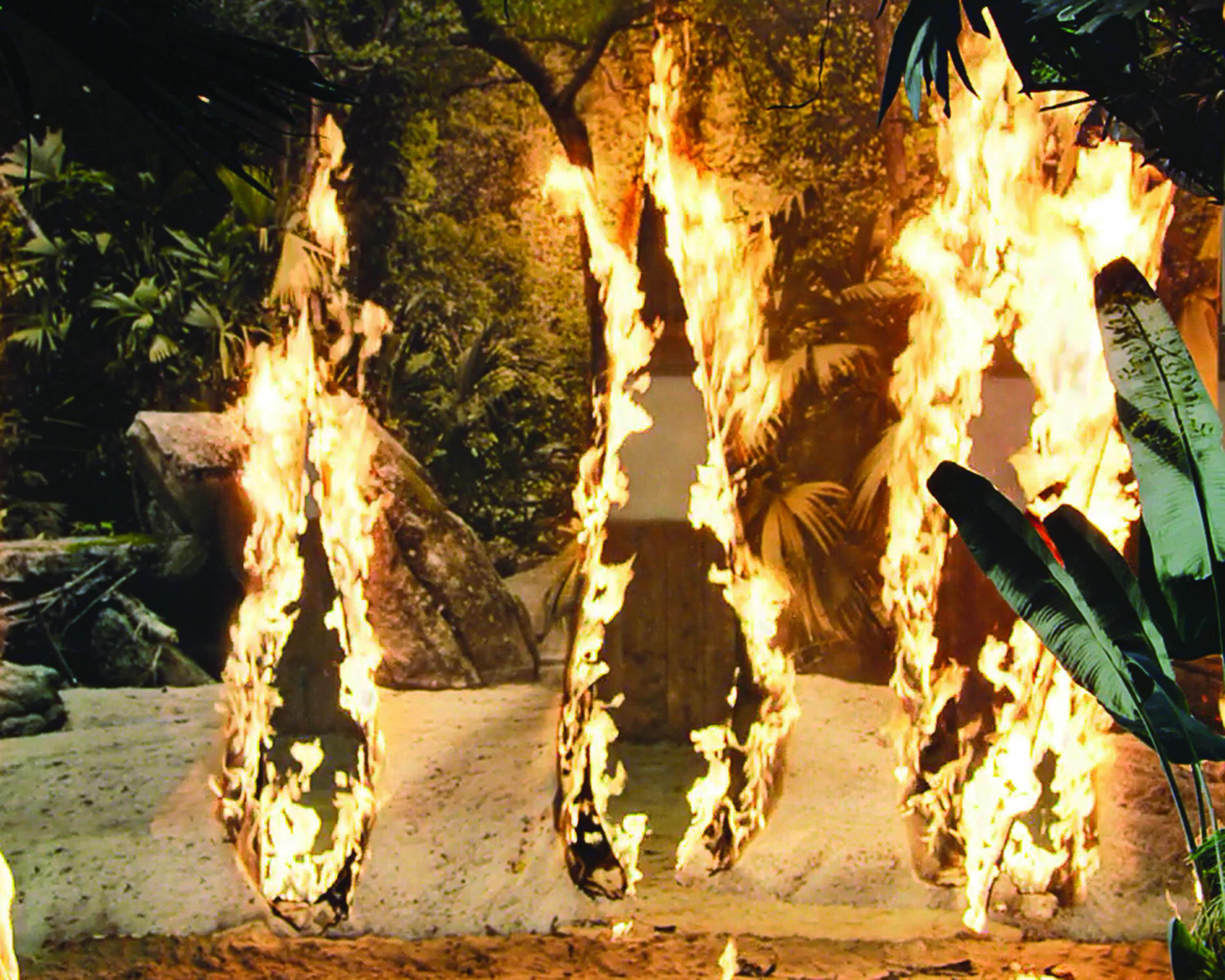 A still image from a short film showing what looks like a beach jungle on fire in three places, right in front of the viewer. In reality, the image is a hanging, large-scale photograph of a beach jungle engulfed with flames. Sand and plants can be seen in front of the photograph, further adding to the illusion. As the photograph burns, it reveals the fabricated armature that holds up the photograph.