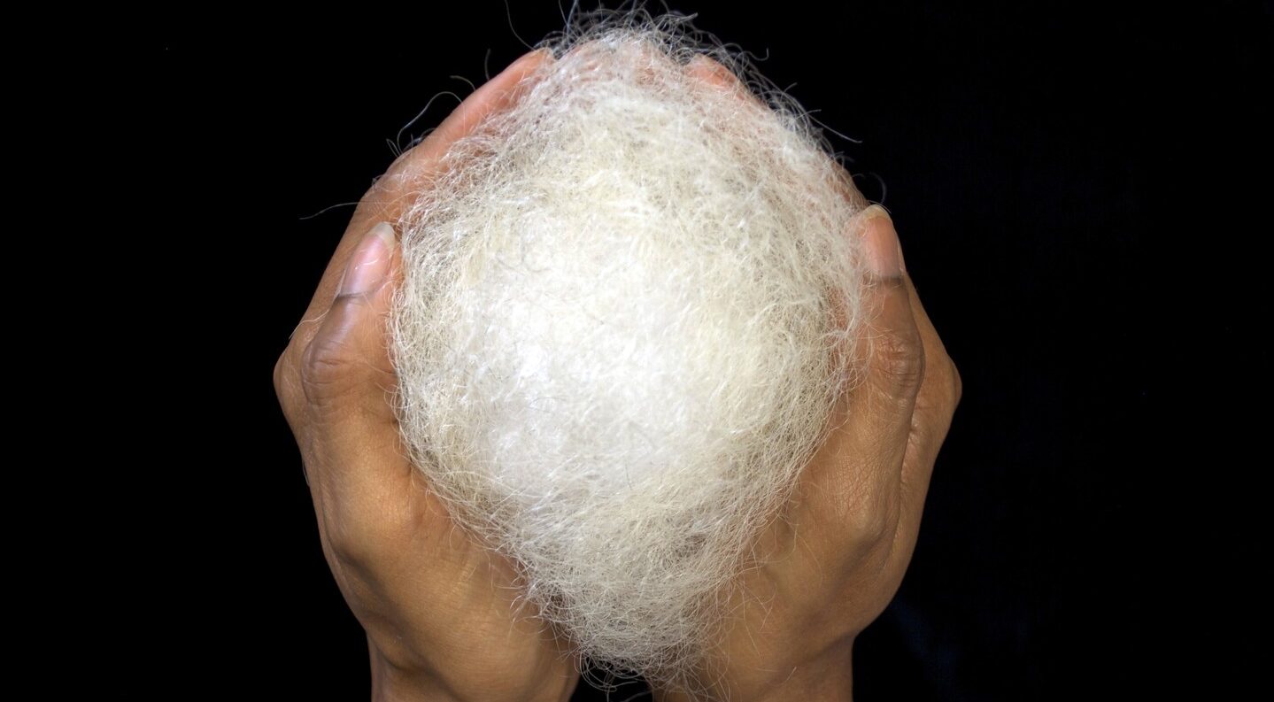 A pair of medium-dark skinned hands cupped together to hold a large, round tuft of white hair against a black background.