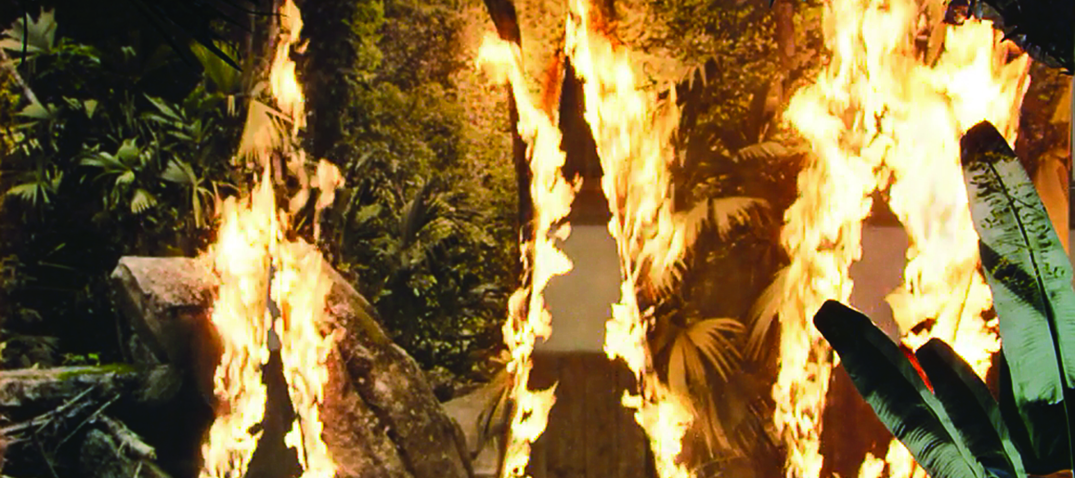 A still image from a short film showing what looks like a beach jungle on fire in three places. In reality, the image is a hanging, large-scale photograph of a beach jungle engulfed with flames. Sand and plants can be seen in front of the photograph, further adding to the illusion.