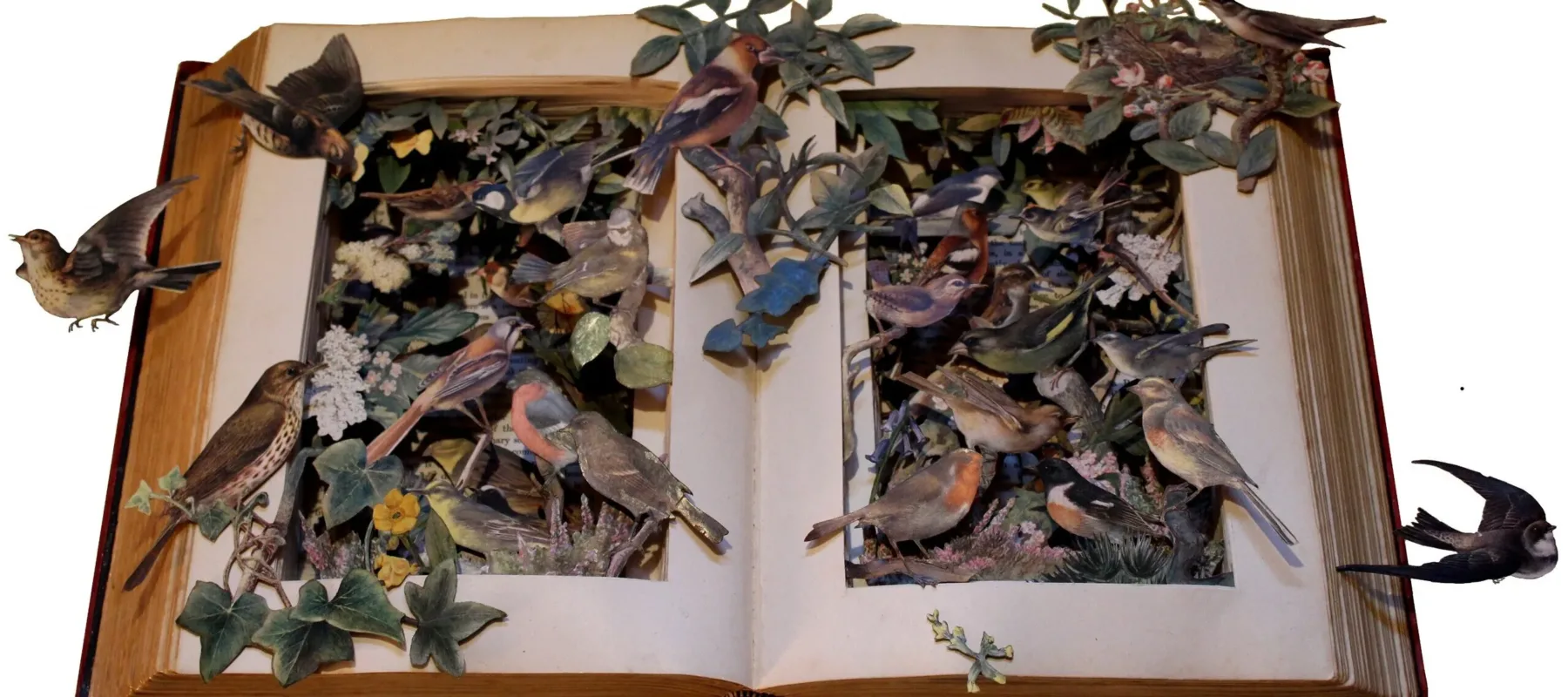 An open book full of birds made of paper, flying out of the book.