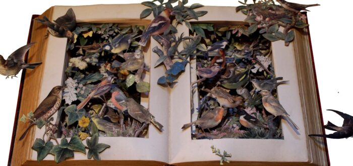 An open book full of birds made of paper, flying out of the book.