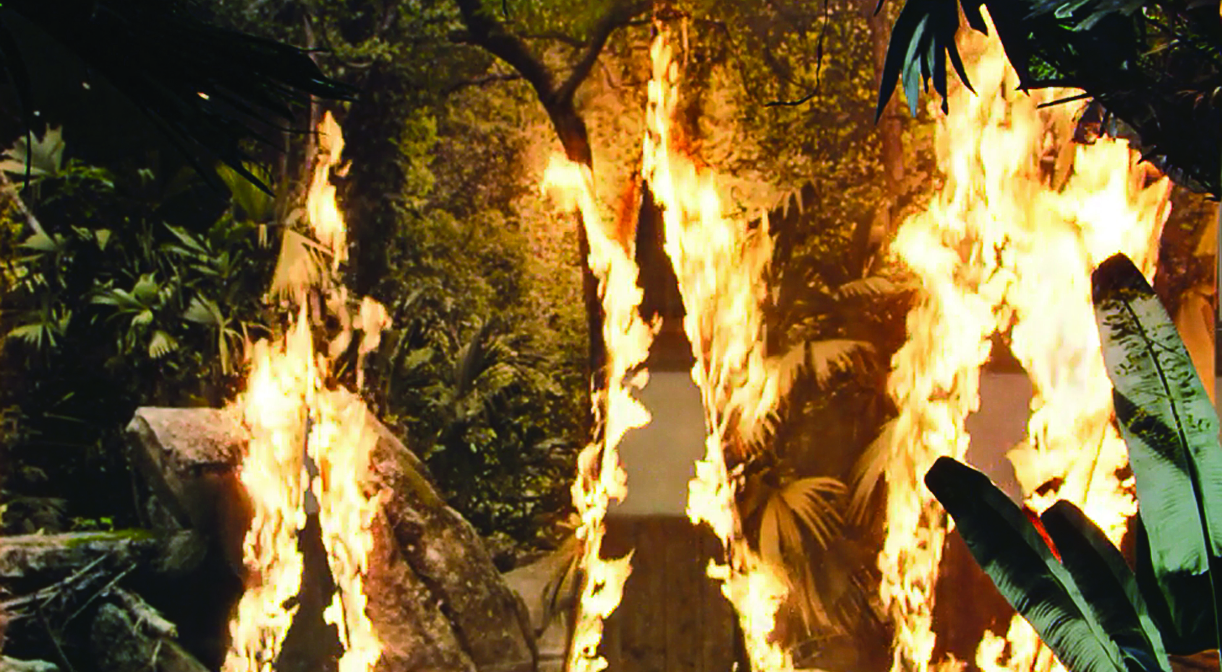 A still image from a short film showing what looks like a beach jungle on fire in three places. In reality, the image is a hanging, large-scale photograph of a beach jungle engulfed with flames. Sand and plants can be seen in front of the photograph, further adding to the illusion.