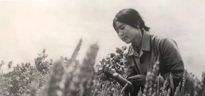 A black-and-white photograph of Hung Liu in her early twenties, wearing a collared shirt and short hair tied back. She sits in a wheat field and looks down at a stalk in her hands.
