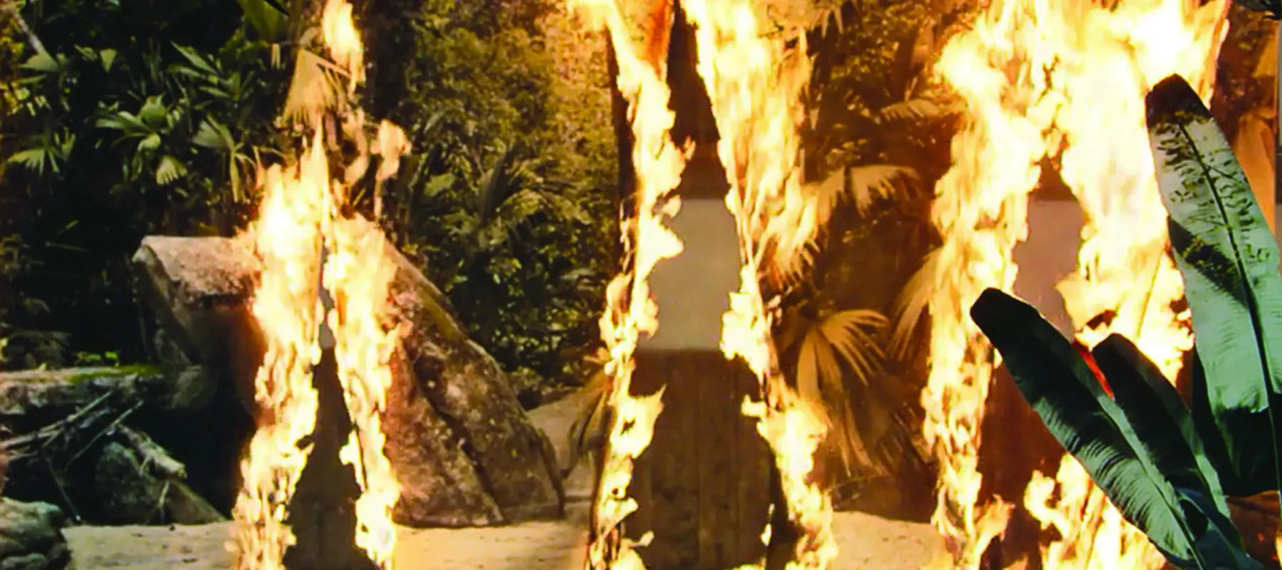 A still image from a short film showing what looks like a beach jungle on fire in three places. In reality, the image is a hanging, large-scale photograph of a beach jungle engulfed with flames. Sand and plants can be seen in front of the photograph, further adding to the illusion.