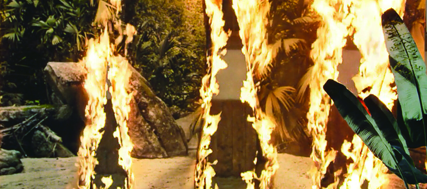 A still image from a short film showing what looks like a beach jungle on fire in three places. In reality, the image is a hanging, large-scale photograph of a beach jungle engulfed with flames. Sand and plants can be seen in front of the photograph, further adding to the illusion.