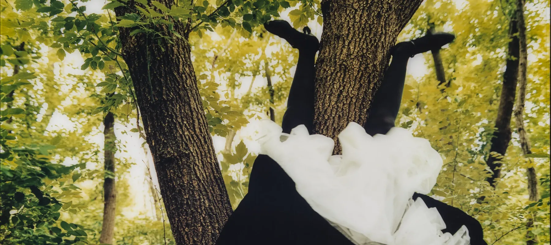 A green forest with someone wearing a dark, full skirt and white petticoat sitting upside down against a tree trunk with their stockinged legs and shoes exposed.