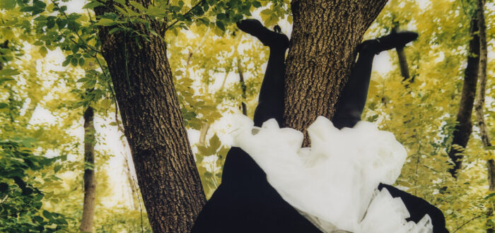A green forest with someone wearing a dark, full skirt and white petticoat sitting upside down against a tree trunk with their stockinged legs and shoes exposed.