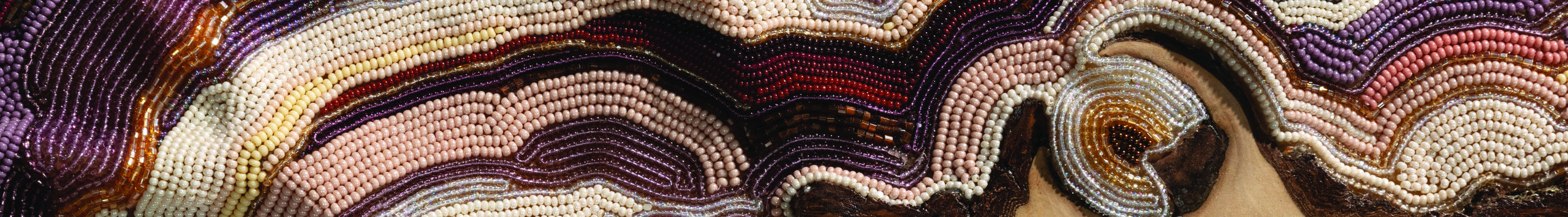 A horizontal cross section of wood with the exterior bark covered in multicolored beads.