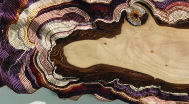 A horizontal cross section of wood with the exterior bark covered in multicolored beads.