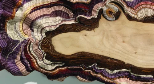 A horizontal cross section of wood with the exterior bark covered in multicolored beads.