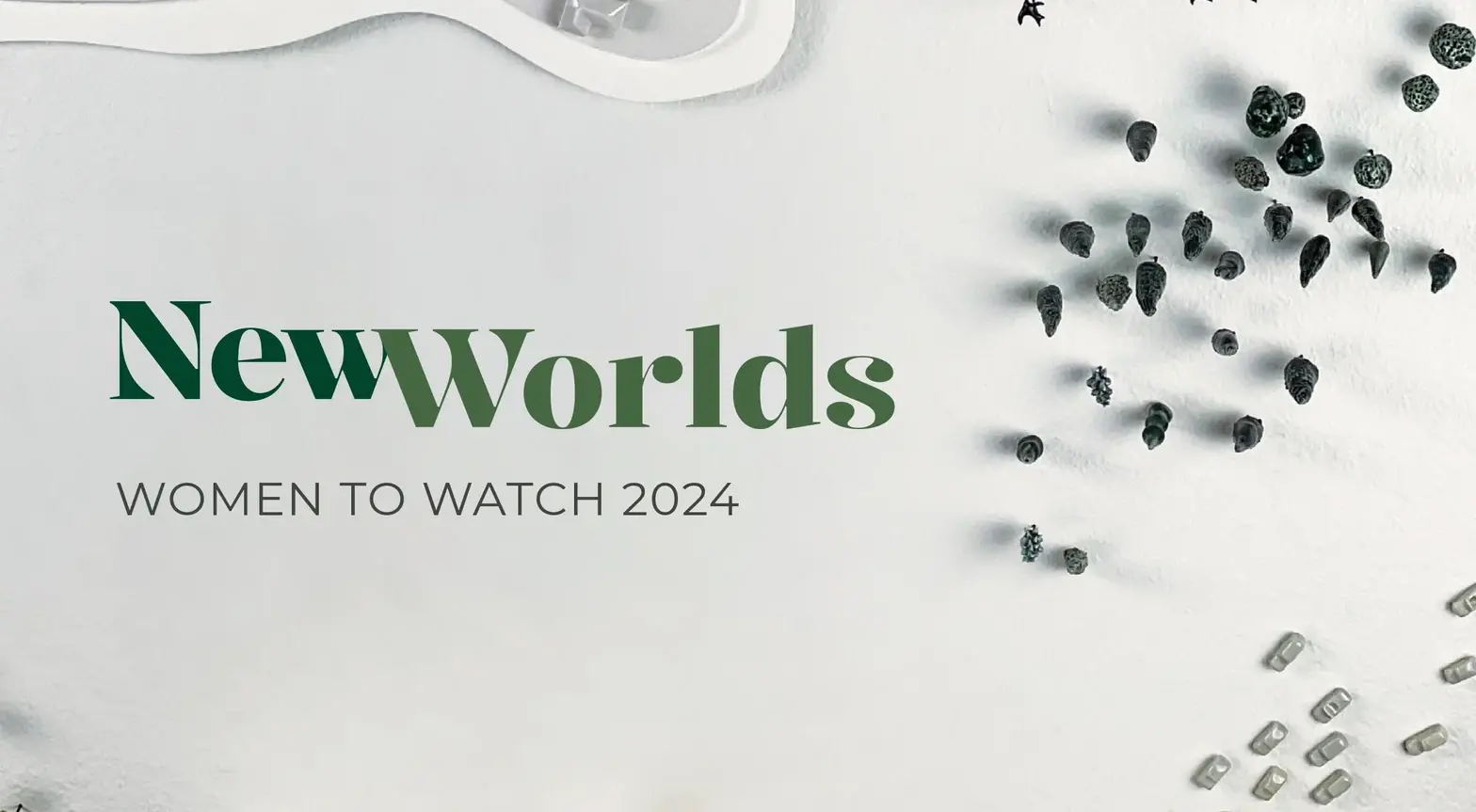 An exhibition catalog with the title "New Worlds: Women to Watch 2024" written in green across a white background filled with ceramic trees, birds, cars, and small buildings.