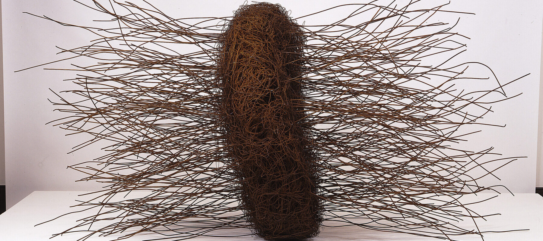 Large, abstract sculpture, fabricated of rusted iron wires, conveys an organic form. At center is a mass of thin, tangled wires shaped into a thick disc, sitting on edge. From either side of the center disc a mass of slightly bent, thicker wires juts straight out.