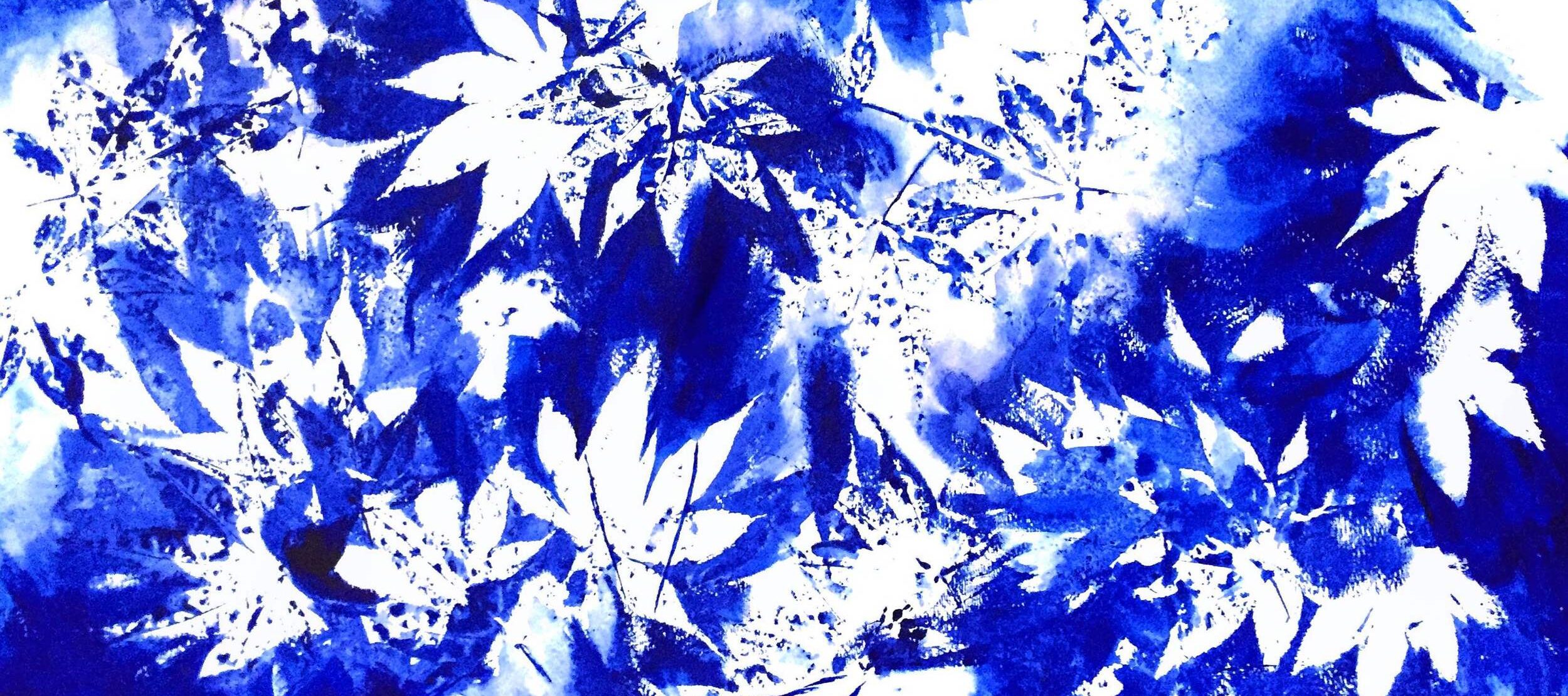 Horizontally oriented cyanotype print of white fern fronts and cobalt blue ovals of different sizes.